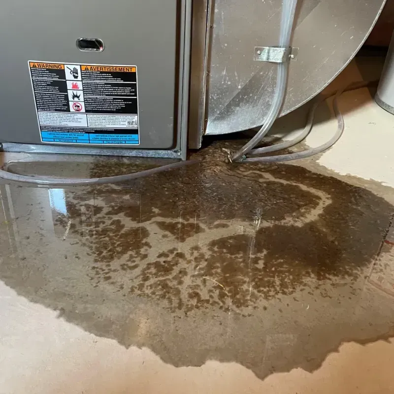 Appliance Leak Cleanup in George West, TX